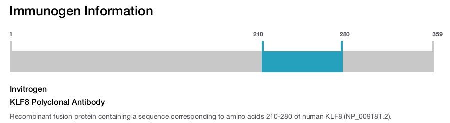 KLF8 Polyclonal Antibody