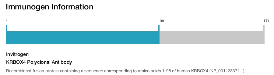KRBOX4 Polyclonal Antibody