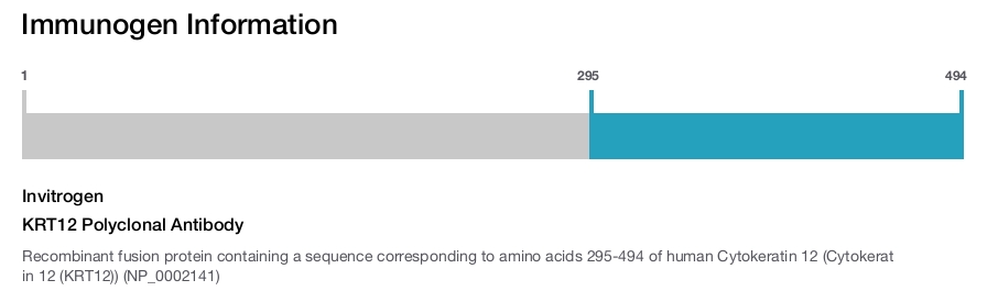 KRT12 Polyclonal Antibody