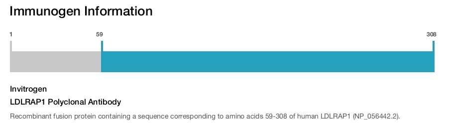 LDLRAP1 Polyclonal Antibody