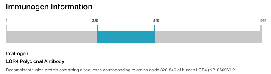 LGR4 Polyclonal Antibody