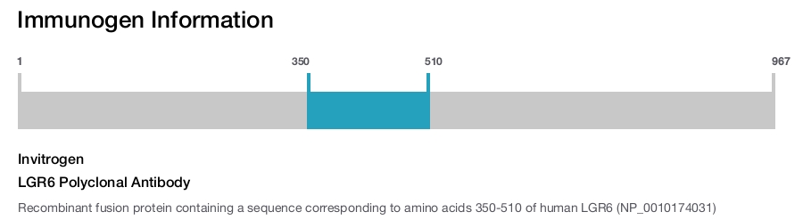 LGR6 Polyclonal Antibody