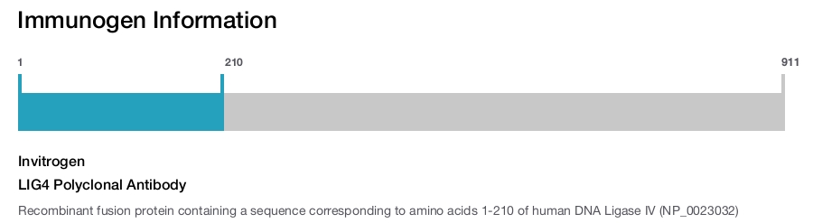 LIG4 Polyclonal Antibody