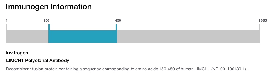 LIMCH1 Polyclonal Antibody