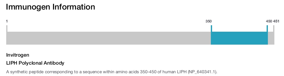 LIPH Polyclonal Antibody