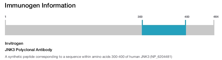 JNK3 Polyclonal Antibody