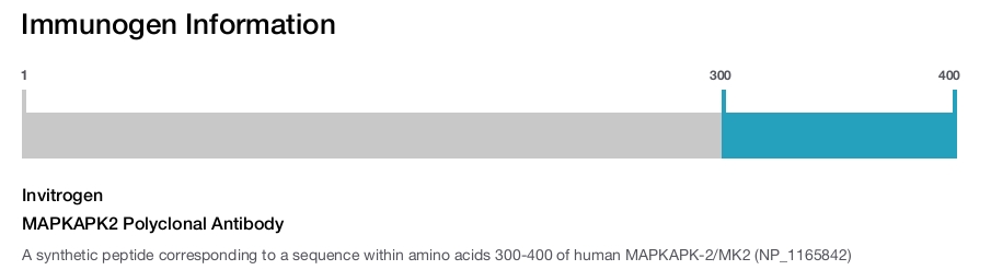 MAPKAPK2 Polyclonal Antibody