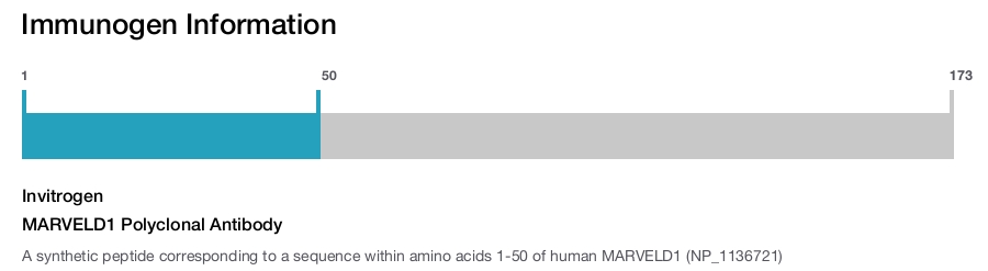 MARVELD1 Polyclonal Antibody