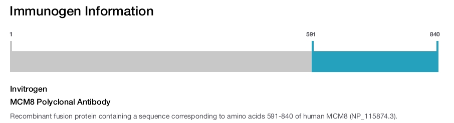 MCM8 Polyclonal Antibody