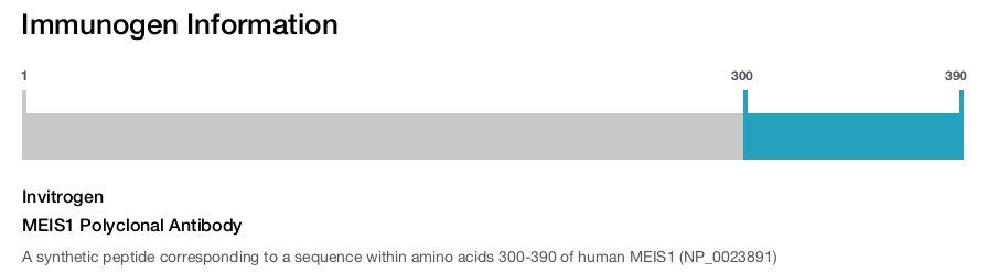 MEIS1 Polyclonal Antibody
