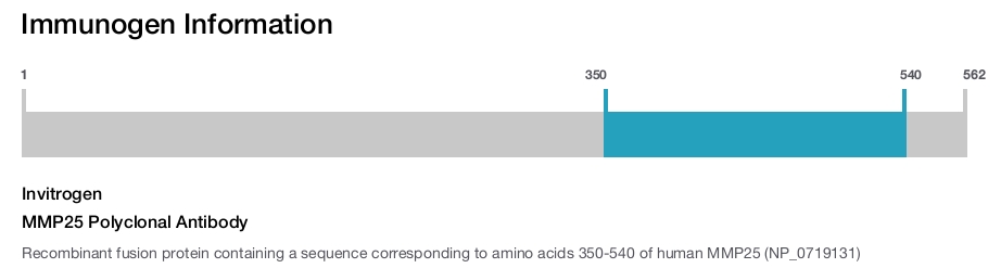MMP25 Polyclonal Antibody