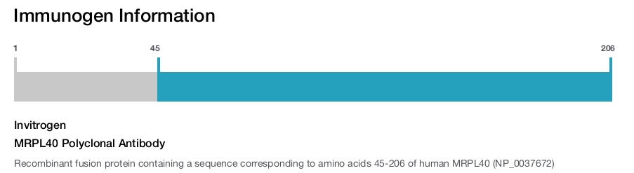 MRPL40 Polyclonal Antibody