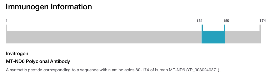 MT-ND6 Polyclonal Antibody