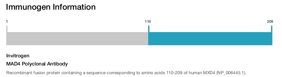 MAD4 Polyclonal Antibody