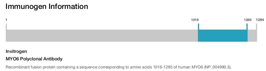 MYO6 Polyclonal Antibody