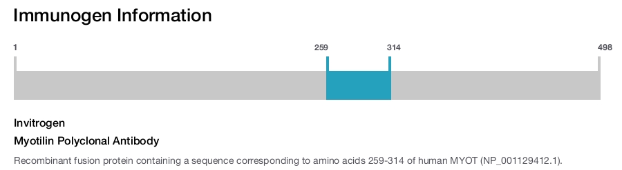 Myotilin Polyclonal Antibody
