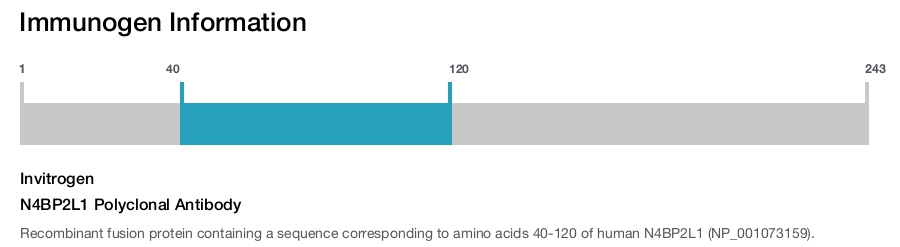 N4BP2L1 Polyclonal Antibody
