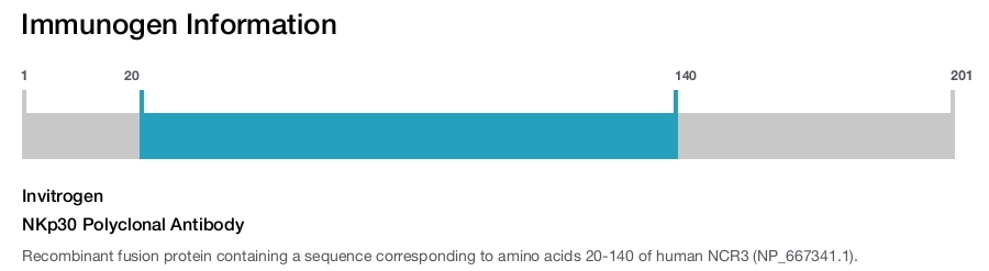 NKp30 Polyclonal Antibody