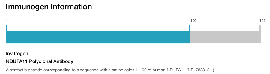 NDUFA11 Polyclonal Antibody