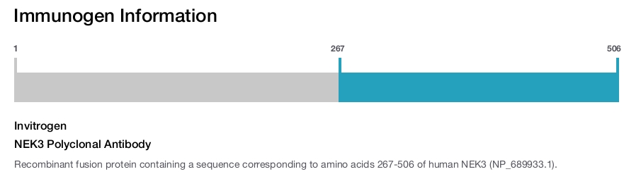 NEK3 Polyclonal Antibody