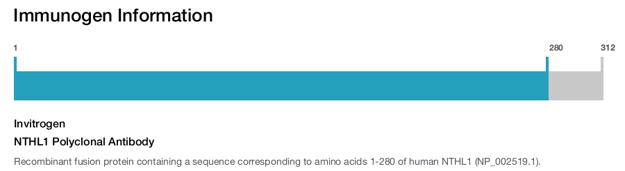NTHL1 Polyclonal Antibody