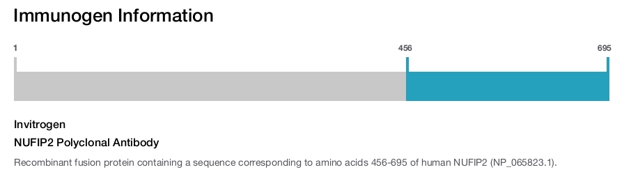 NUFIP2 Polyclonal Antibody