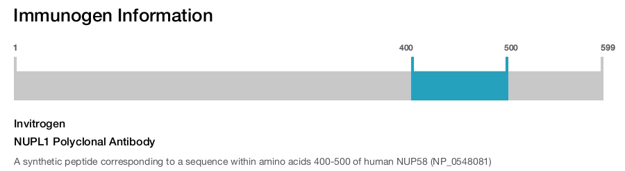 NUPL1 Polyclonal Antibody