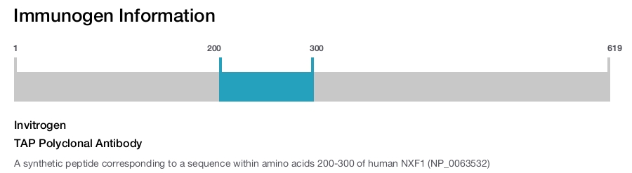 TAP Polyclonal Antibody