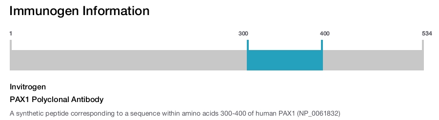 PAX1 Polyclonal Antibody