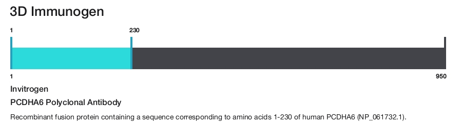 PCDHA6 Polyclonal Antibody