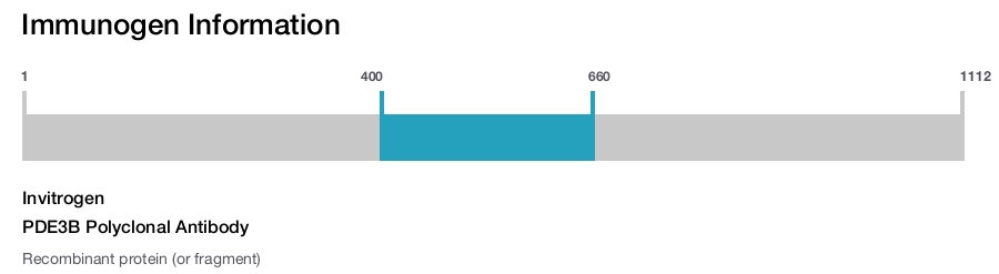 PDE3B Polyclonal Antibody