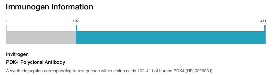 PDK4 Polyclonal Antibody