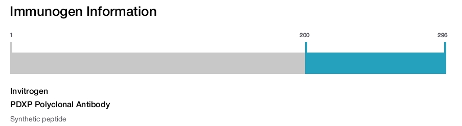 PDXP Polyclonal Antibody