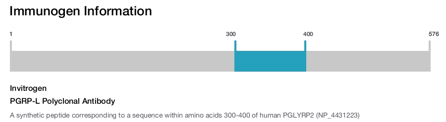 PGRP-L Polyclonal Antibody