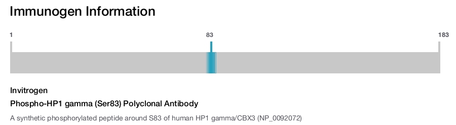 Phospho-HP1 gamma (Ser83) Polyclonal Antibody