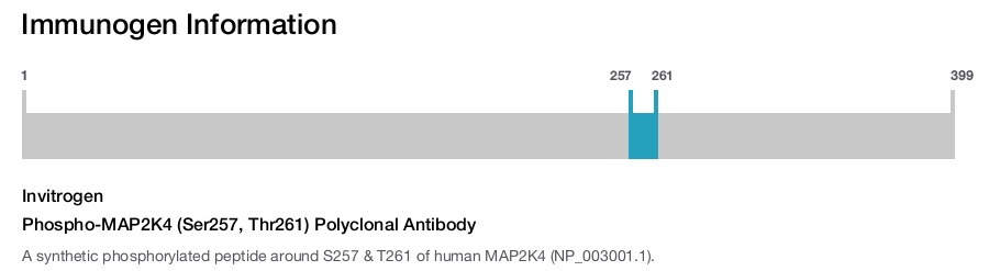 Phospho-MAP2K4 (Ser257, Thr261) Polyclonal Antibody
