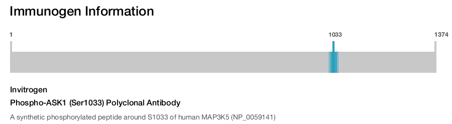 Phospho-ASK1 (Ser1033) Polyclonal Antibody