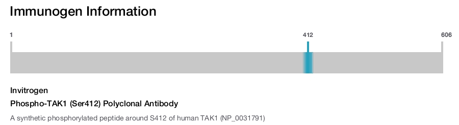 Phospho-TAK1 (Ser412) Polyclonal Antibody