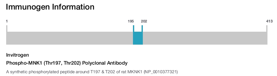 Phospho-MNK1 (Thr197, Thr202) Polyclonal Antibody