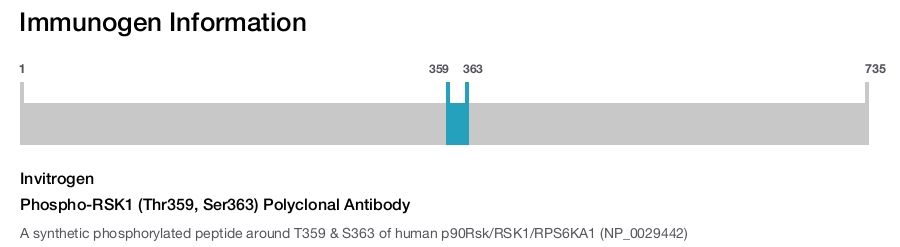 Phospho-RSK1 (Thr359, Ser363) Polyclonal Antibody
