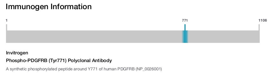 Phospho-PDGFRB (Tyr771) Polyclonal Antibody