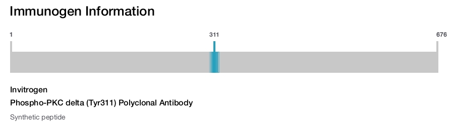 Phospho-PKC delta (Tyr311) Polyclonal Antibody