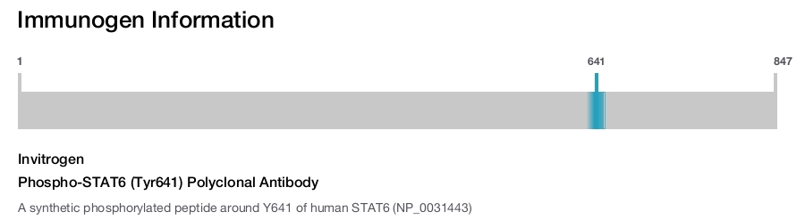 Phospho-STAT6 (Tyr641) Polyclonal Antibody