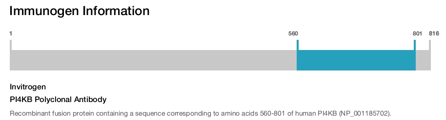 PI4KB Polyclonal Antibody