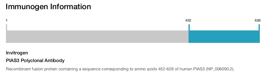 PIAS3 Polyclonal Antibody