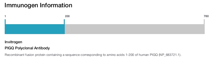 PIGQ Polyclonal Antibody