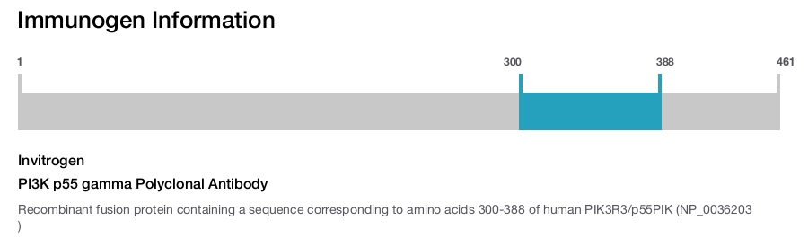 PI3K p55 gamma Polyclonal Antibody