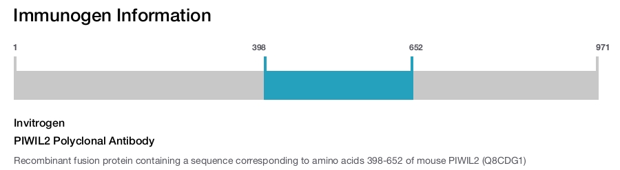 PIWIL2 Polyclonal Antibody
