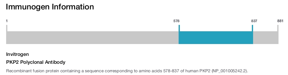 PKP2 Polyclonal Antibody