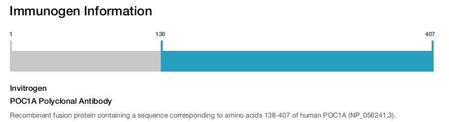 POC1A Polyclonal Antibody